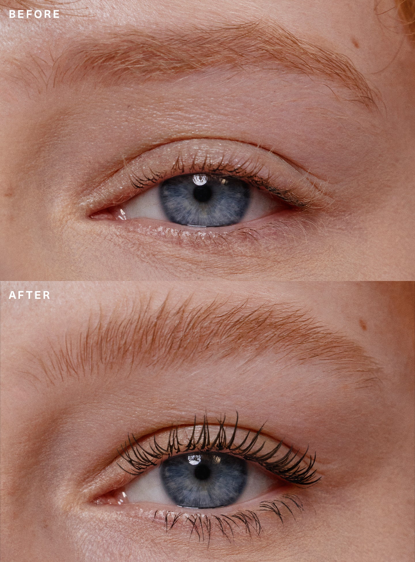 mascara & brow gel duo mascara & brow gel duo